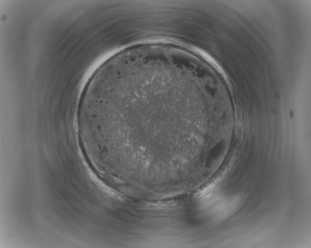 X0000080730951200612151221