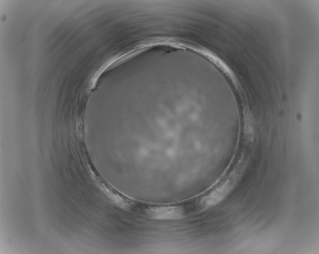 X0000080730953200612151221