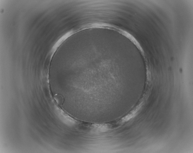 X0000080730954200612151221