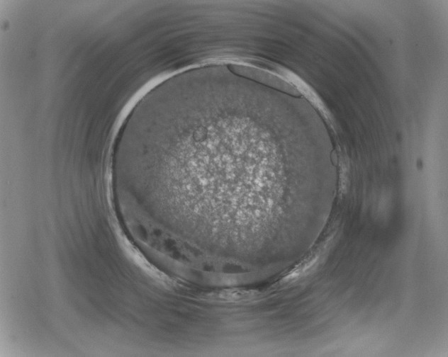 X0000080730955200612151221