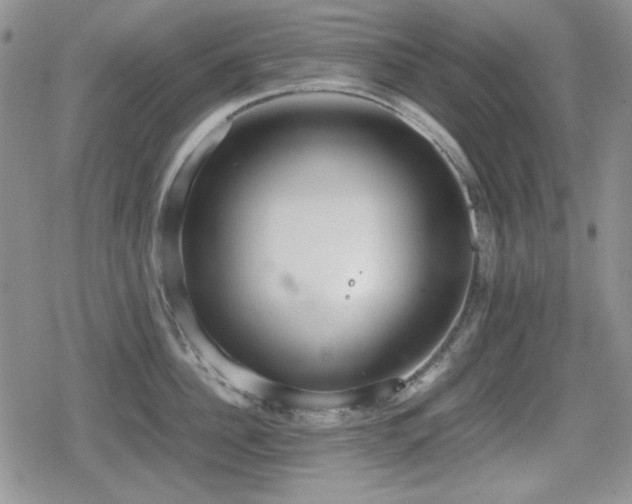 X0000080730956200612151221