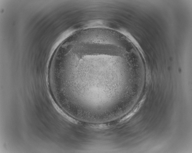 X0000080730957200612151221