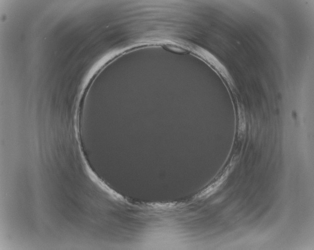 X0000080730958200612151221