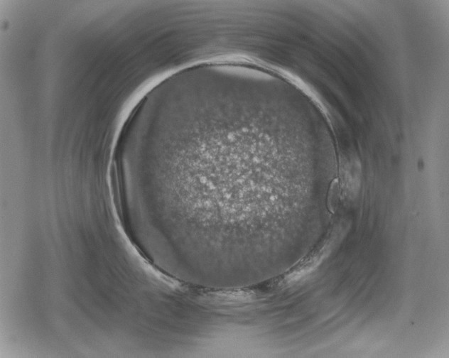 X0000080730959200612151221