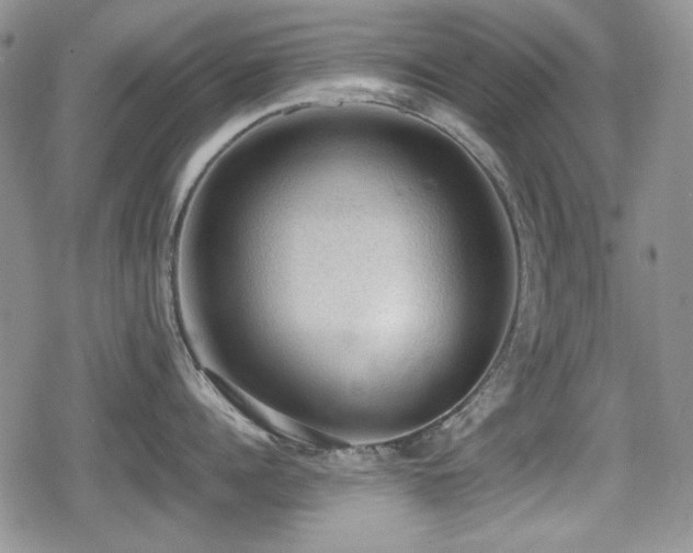 X0000080730960200612151221