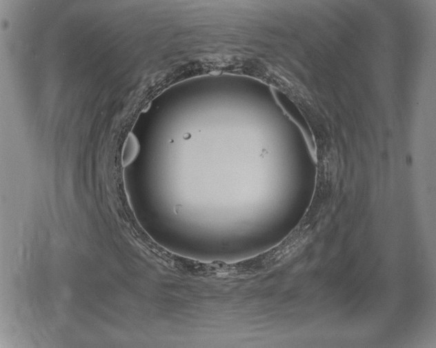 X0000080730961200612151220