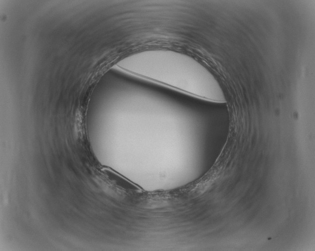 X0000080730964200612151220