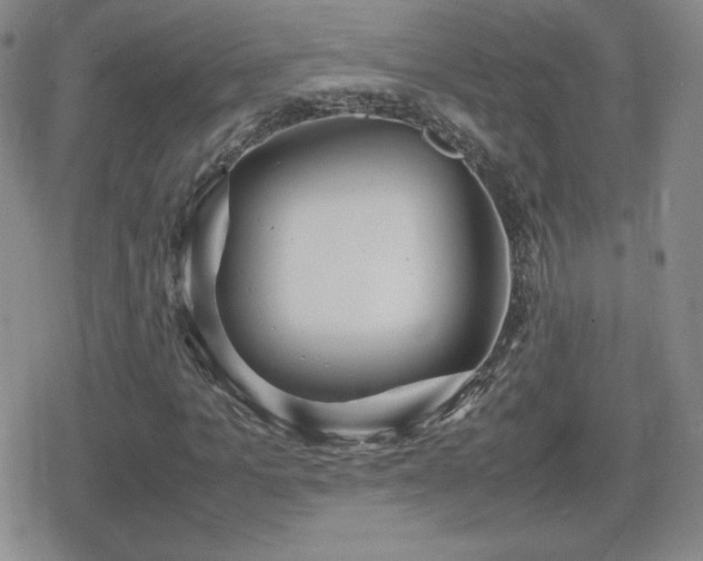 X0000080730965200612151220