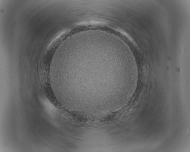 X0000080730967200612151220