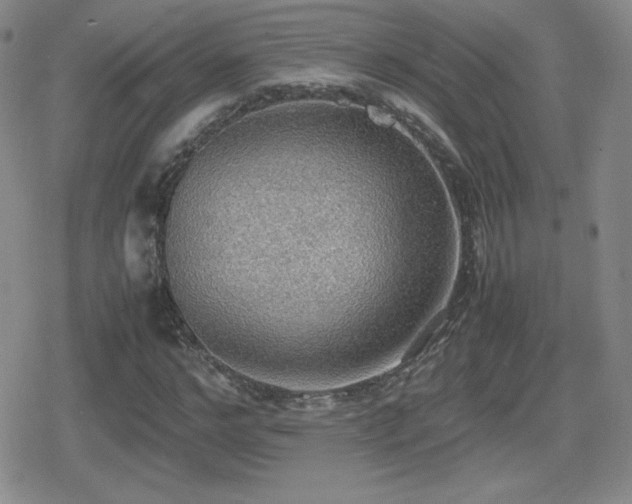 X0000080730968200612151220