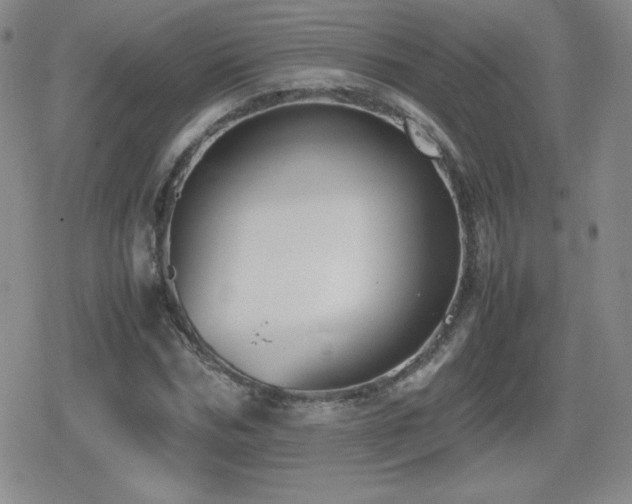 X0000080730970200612151220