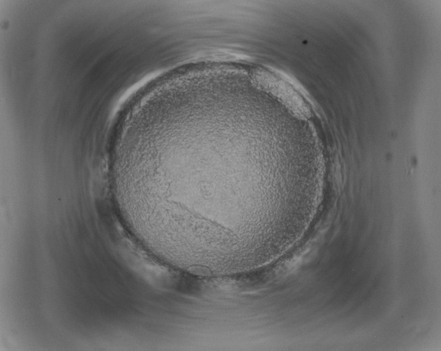 X0000080730971200612151220