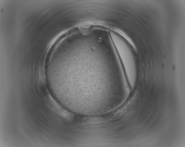 X0000080730972200612151220