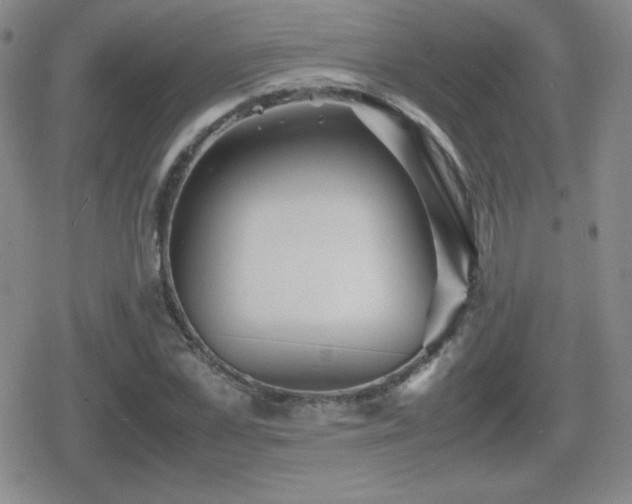 X0000080730973200612151220