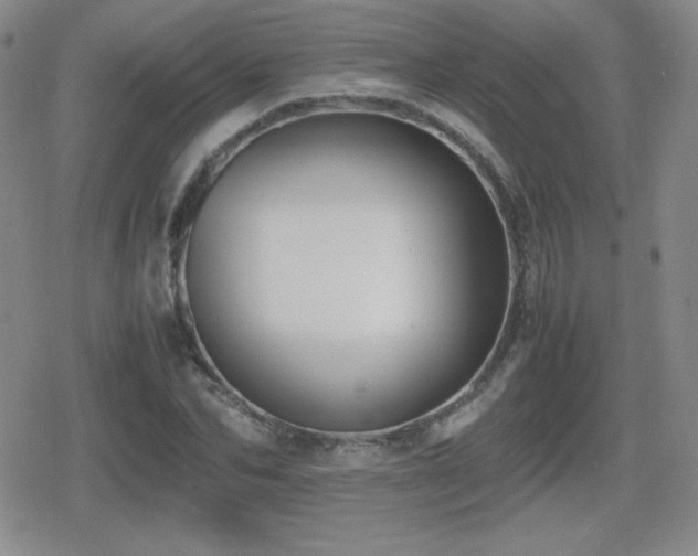 X0000080730974200612151220