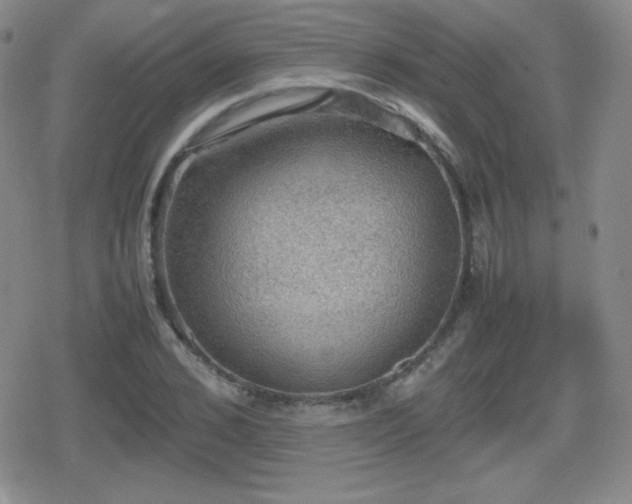 X0000080730976200612151220