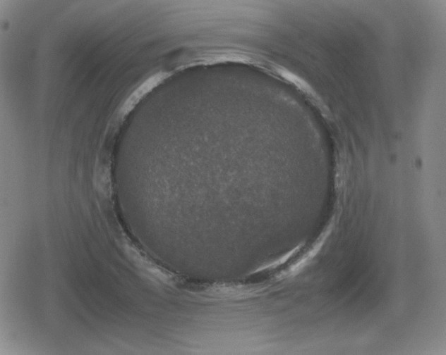 X0000080730977200612151220