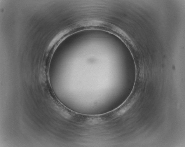 X0000080730978200612151220