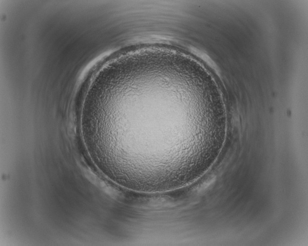 X0000080730979200612151220