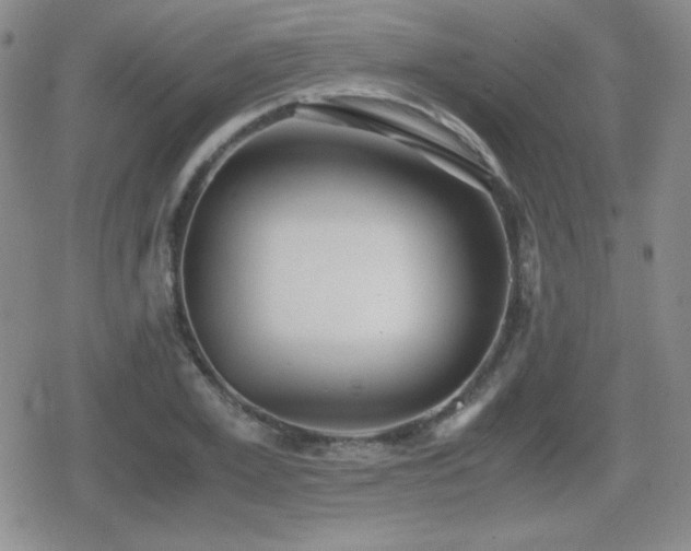 X0000080730981200612151220