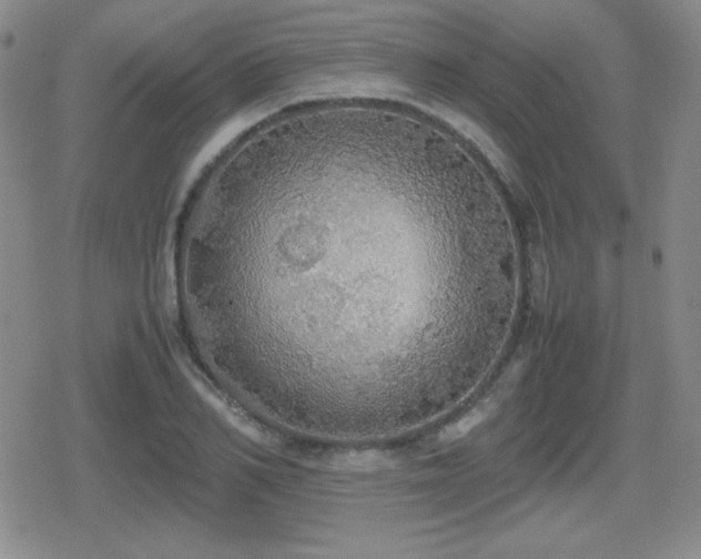 X0000080730982200612151220