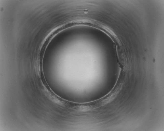 X0000080730984200612151220