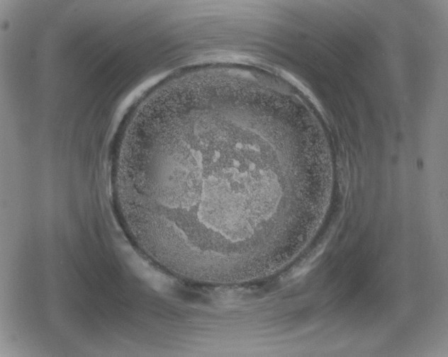 X0000080730987200612151220