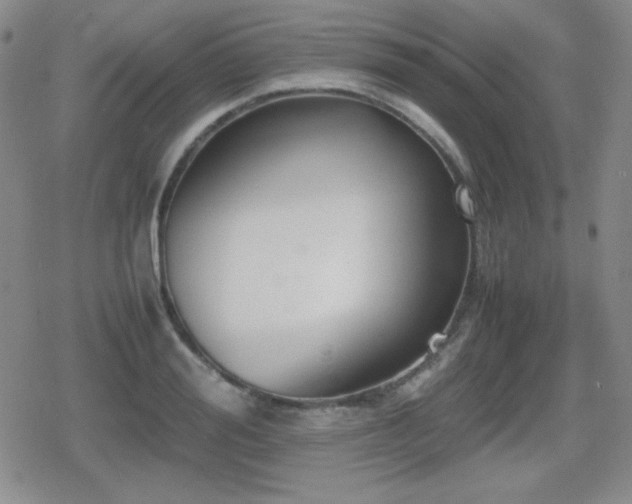 X0000080730988200612151220