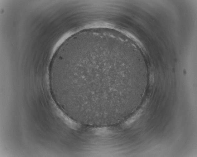 X0000080730990200612151220