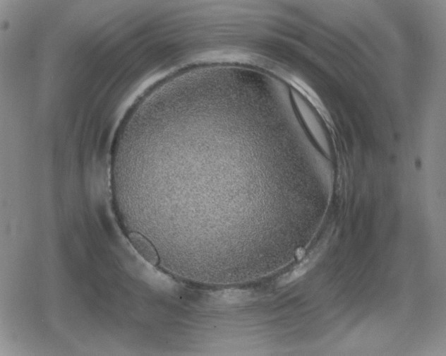 X0000080730992200612151219