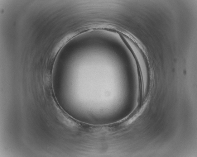 X0000080730993200612151219