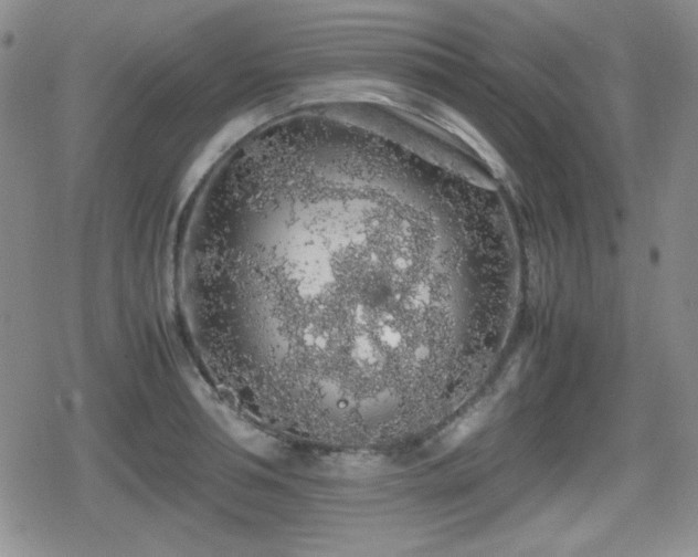 X0000080730994200612151219