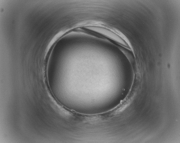 X0000080730997200612151219