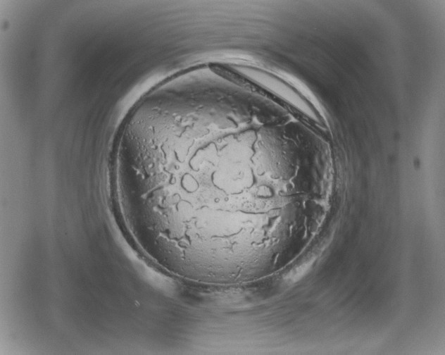 X0000080730999200612151219