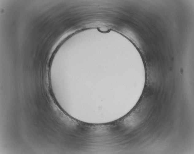 X0000080731000200612151219