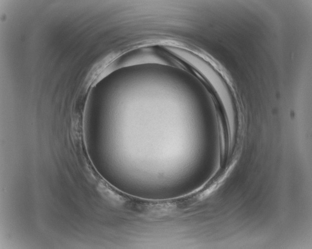 X0000080731001200612151219