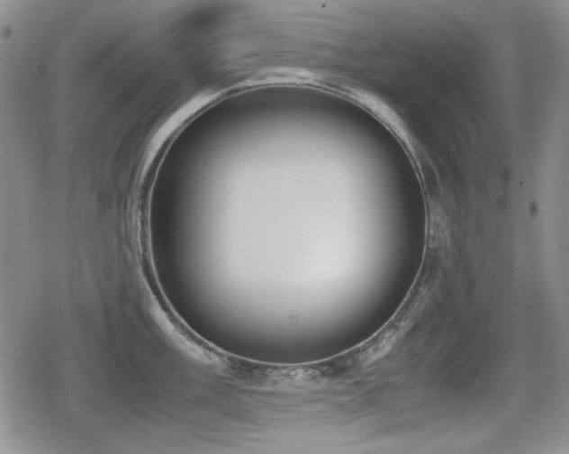 X0000080731003200612151219