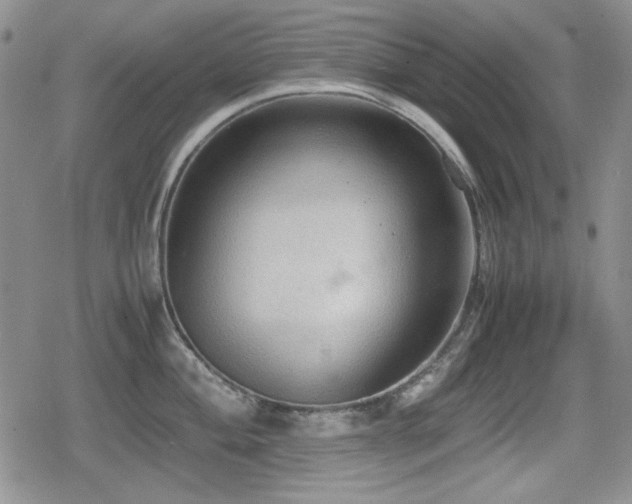 X0000080731004200612151219