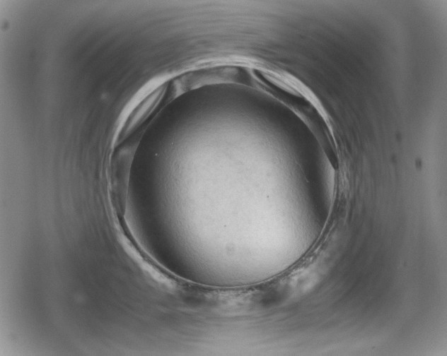 X0000080731005200612151219