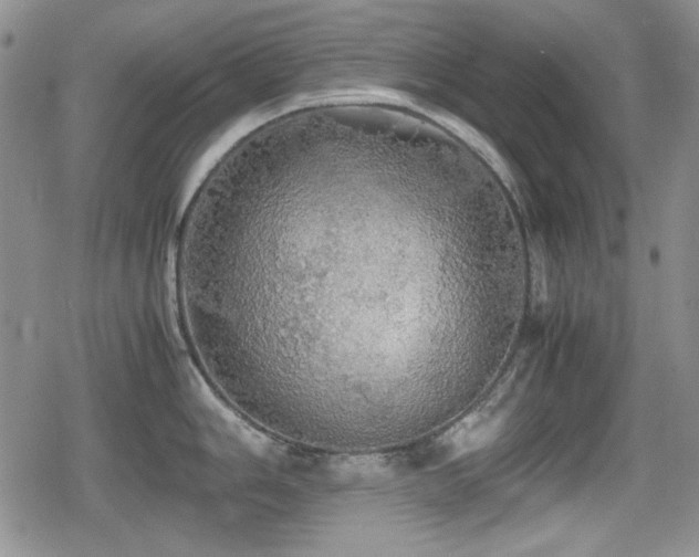 X0000080731006200612151219