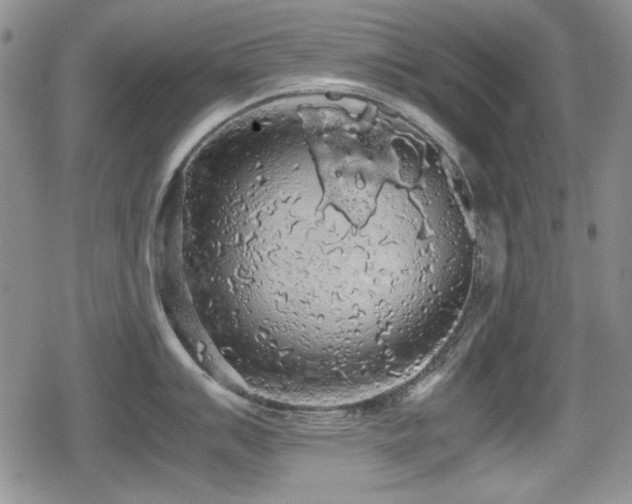 X0000080731007200612151219