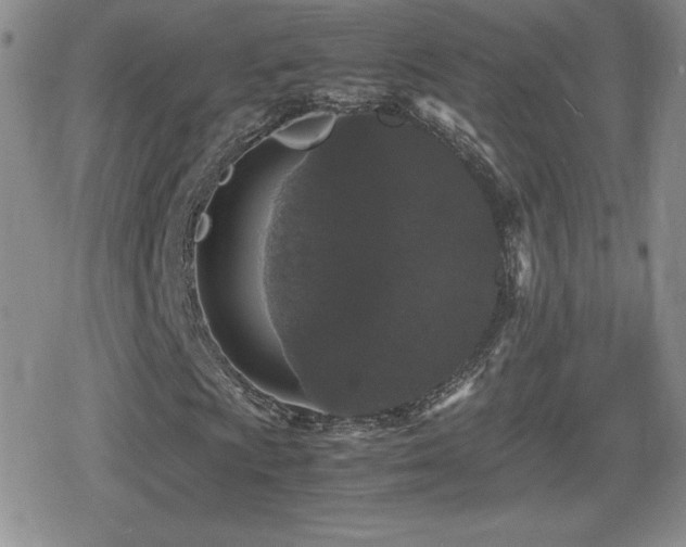 X0000080731009200612151218