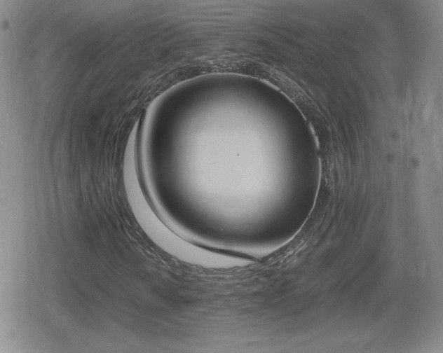 X0000080731010200612151218