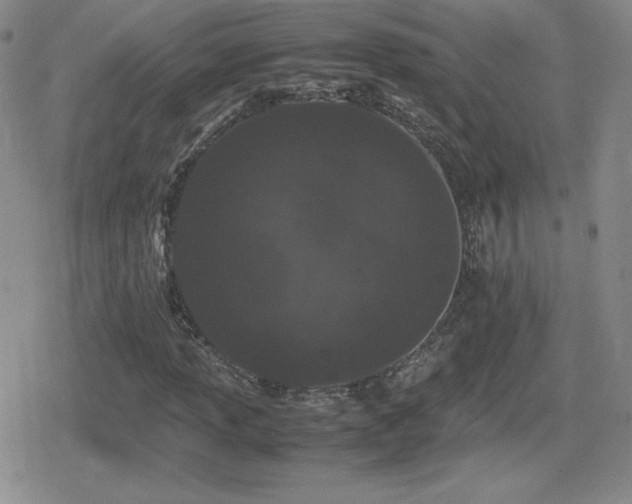 X0000080731013200612151218