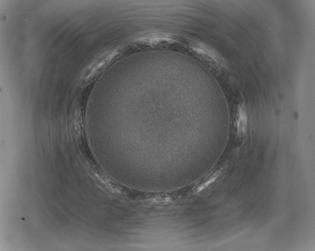 X0000080731014200612151218