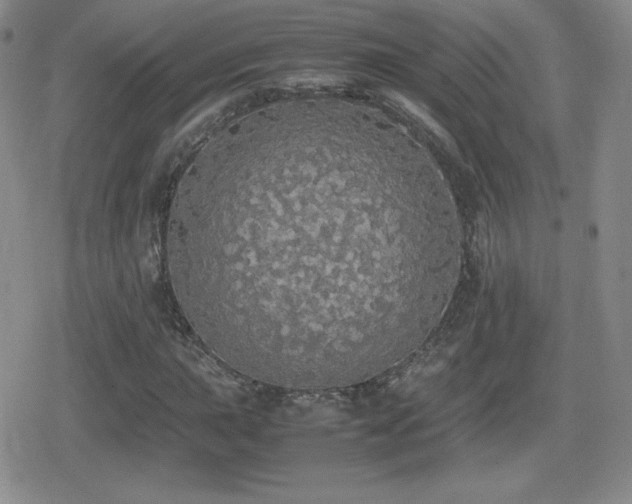 X0000080731015200612151219