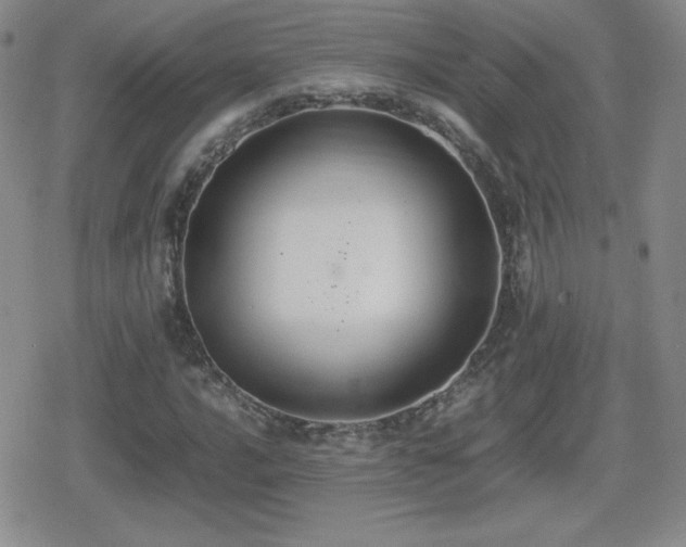 X0000080731016200612151219