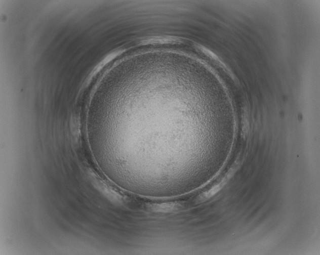 X0000080731017200612151219