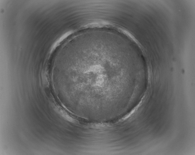 X0000080731018200612151219