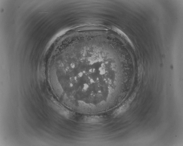 X0000080731019200612151219